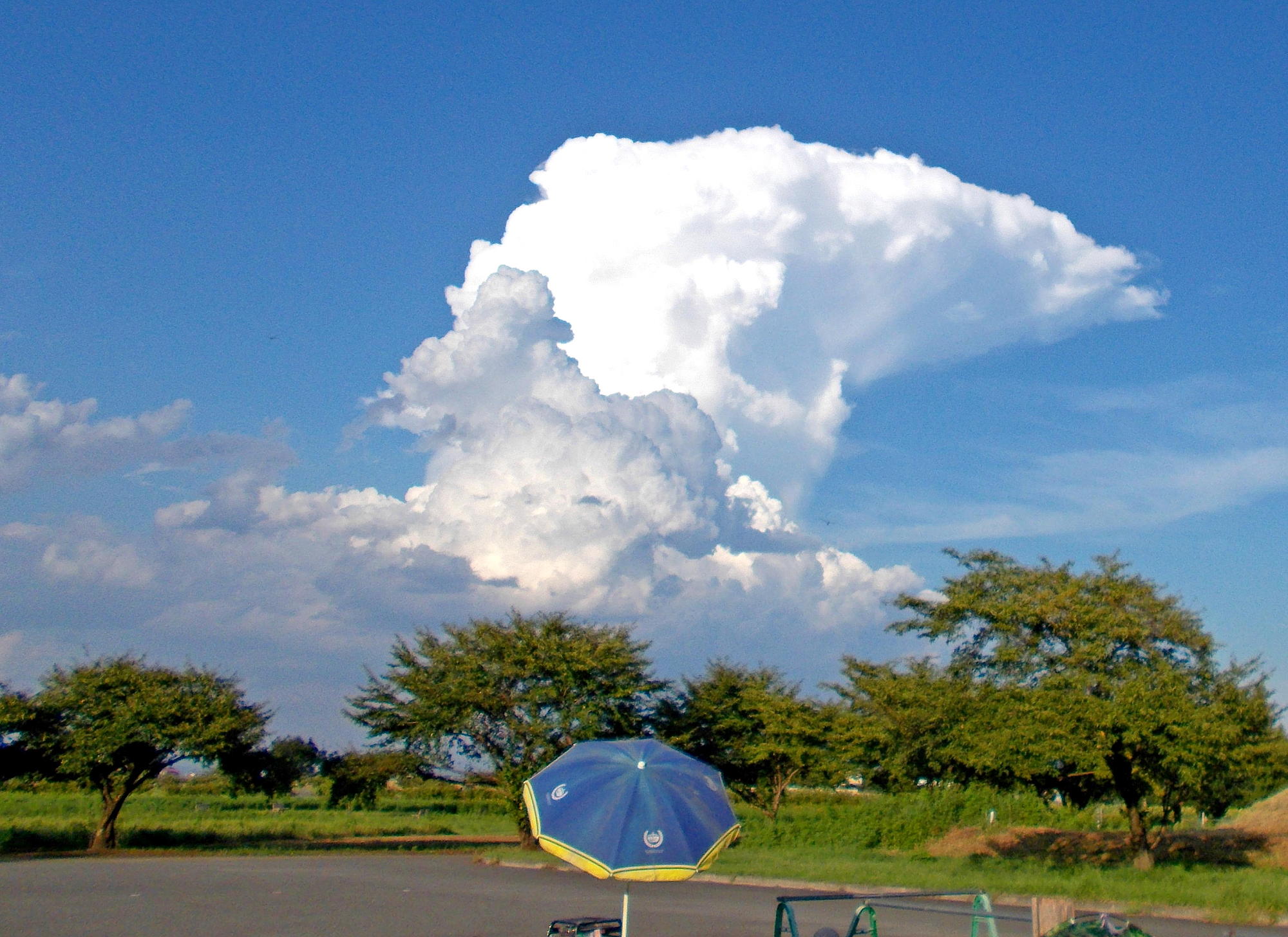 夏の雲